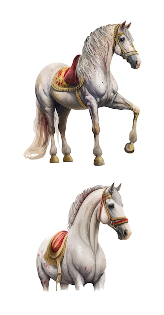 Vector circus horse clipart isolated vector illustration