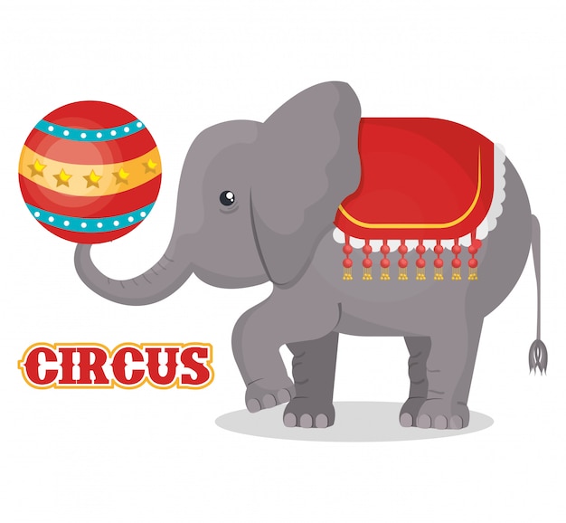 circus show ontwerp