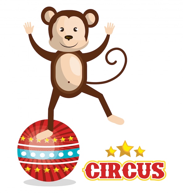 circus show ontwerp