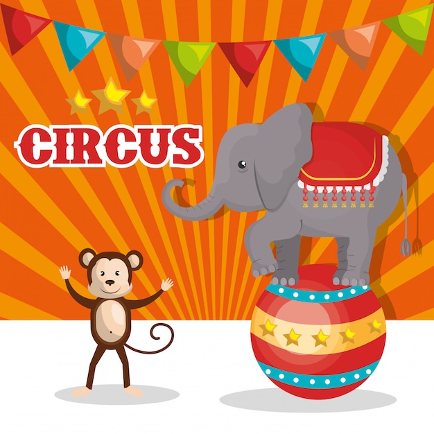 Circus show ontwerp