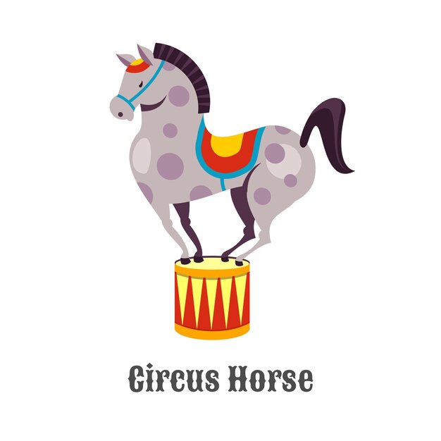 Circus trained horse