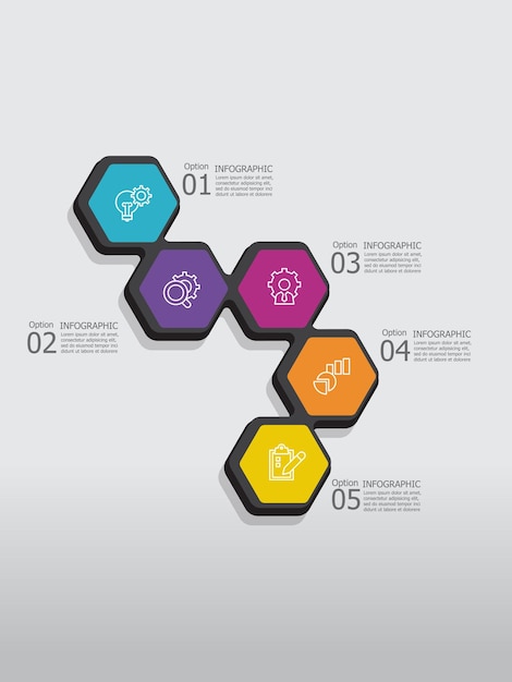 Vector cirkel stappen tijdlijn infographic element achtergrond met business line icoon 5 stappen