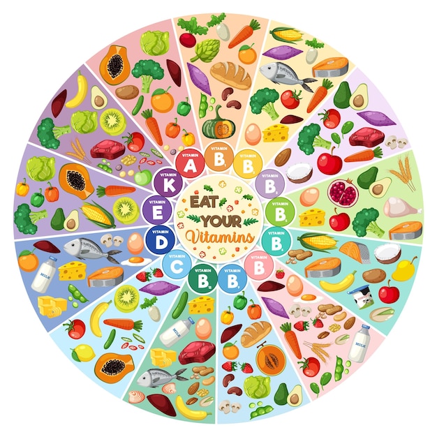 Vector cirkeldiagram van alle voedingsvitaminen gesorteerd op type