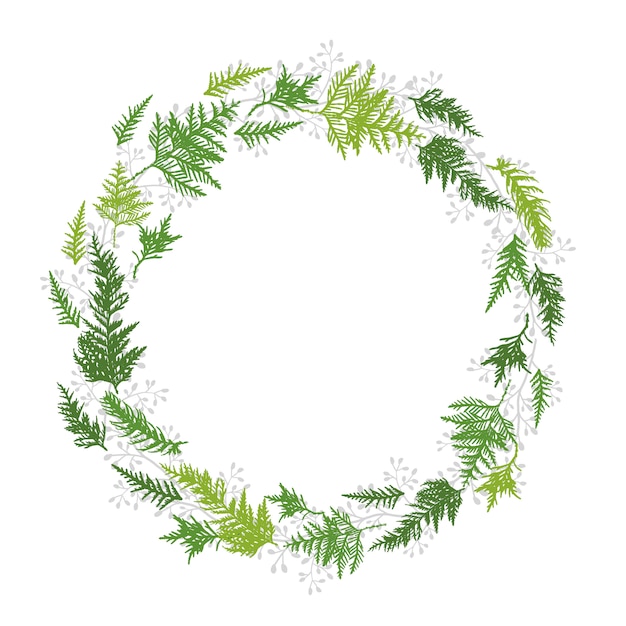 Vector cirkelkader van groene bladeren van thuja, cipres.