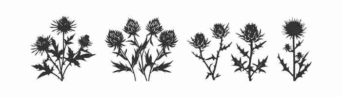 Vector cirsium thistle icon set vector illustration design