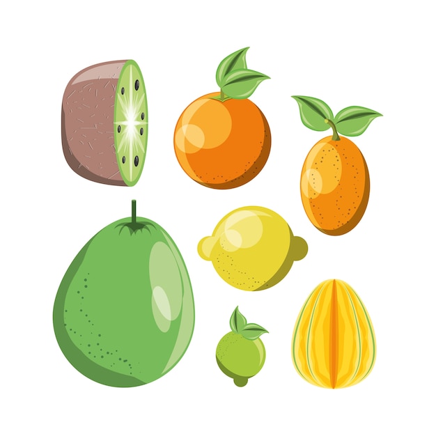 Citric fruits design