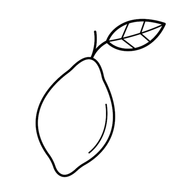 Citroen hand getekende citrusvruchten element in doodle schets stijl
