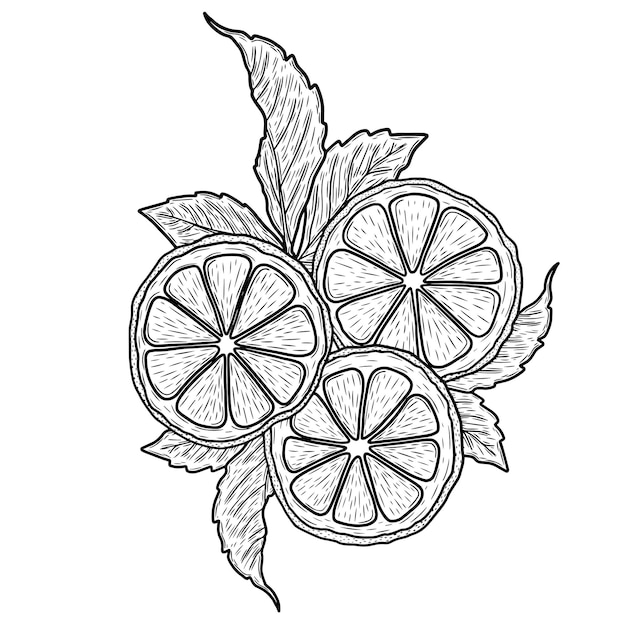 Vector citroenillustratie op wit vectorart als achtergrond