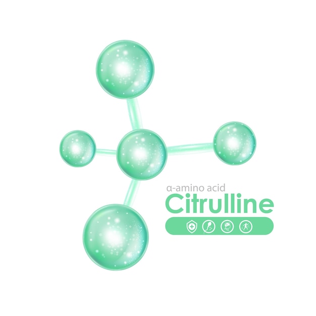 ベクトル シトルリン ヘルスケアと医療のコンセプト デザイン