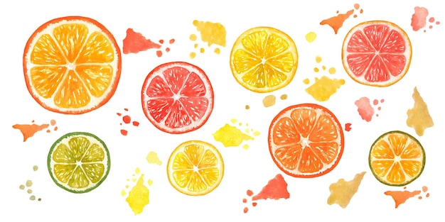 Vector citrus collection of 18 elements