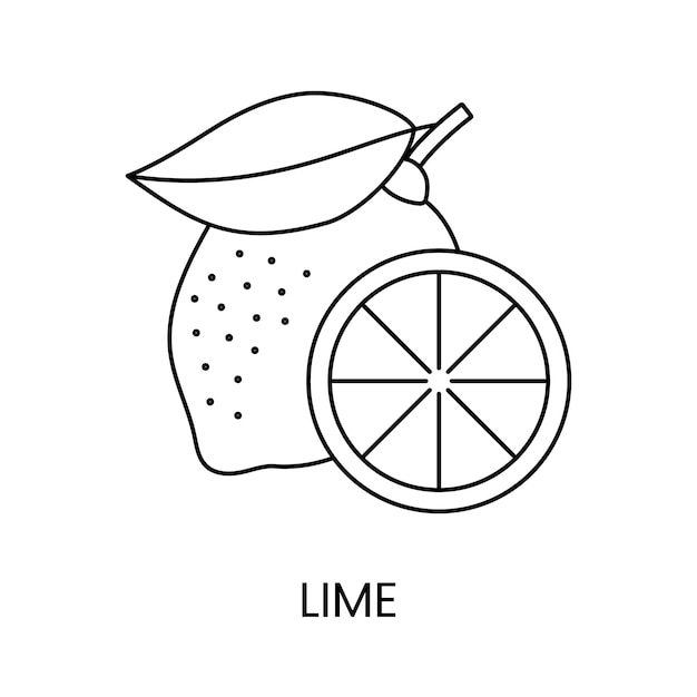 Premium Vector  Lime line icon in vector citrus fruit illustration