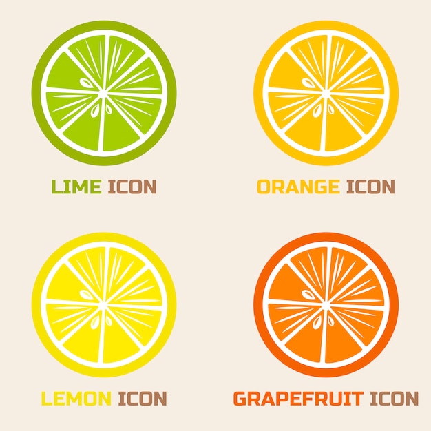 Citrus fruit slices: lime, orange, lemon, grapefruit