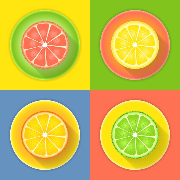 Vector citrus fruits four icons. vector illustration