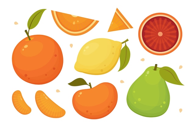 Цитрусовые ломтики целые и половинки Апельсиновый грейпфрут лимонный помело изолированные векторные иконки Набор тропических фруктов