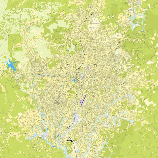 ベクトル カメルーンのヤウンデ市の地図