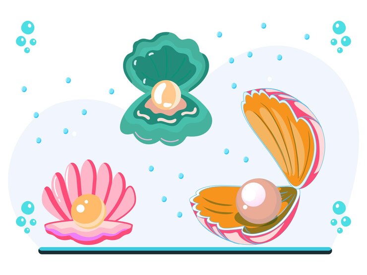 Vector clam concept illustration stylish and beautiful