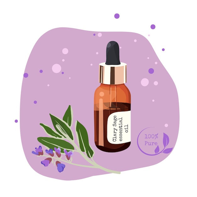 Clary Sage essential oil, clary sage branch, collection of oils for aromatherapy and spa