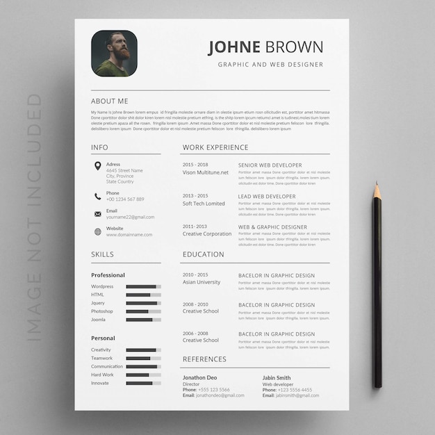 Vector classic resume template