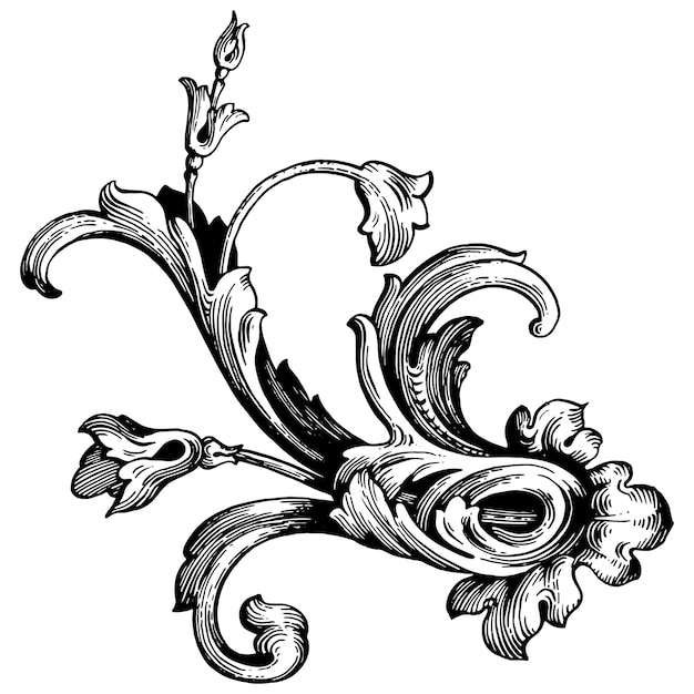 Vettore classico set barocco di elementi vintage per il design. calligrafia a filigrana elemento decorativo di design.