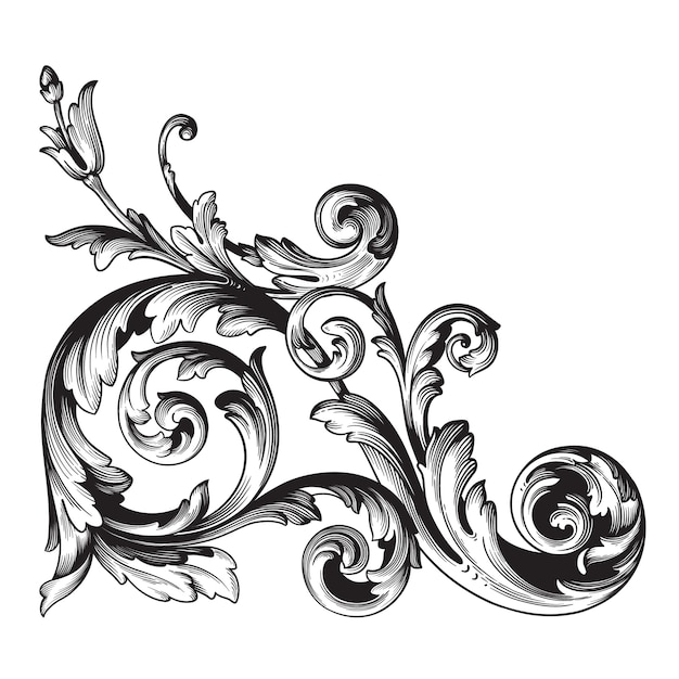 Classical baroque   of vintage element  . Decorative design element filigree calligraphy  .  