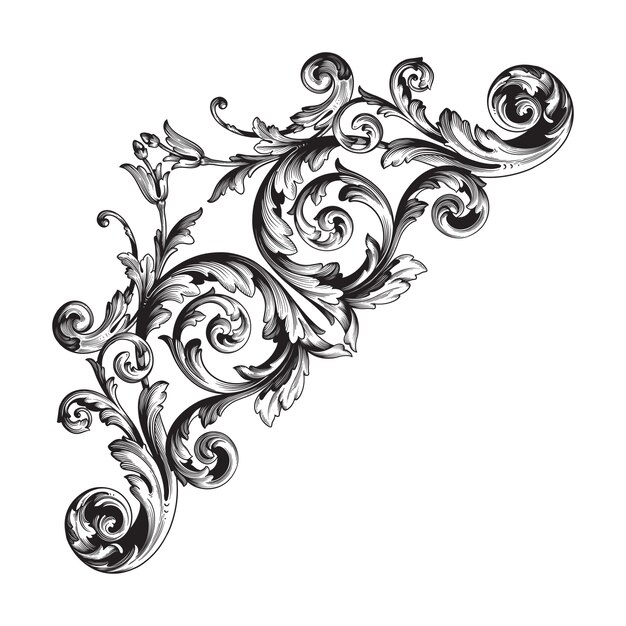 Classical baroque   of vintage element  . Decorative design element filigree calligraphy  .  