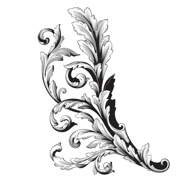 Vector classical baroque   of vintage element  . decorative design element filigree calligraphy  .