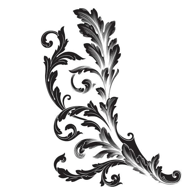 Classical baroque   of vintage element  . Decorative design element filigree calligraphy  .