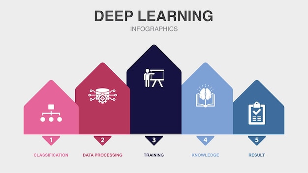 Vector classification data processing training knowledge result icons infographic design template creative concept with 5 steps