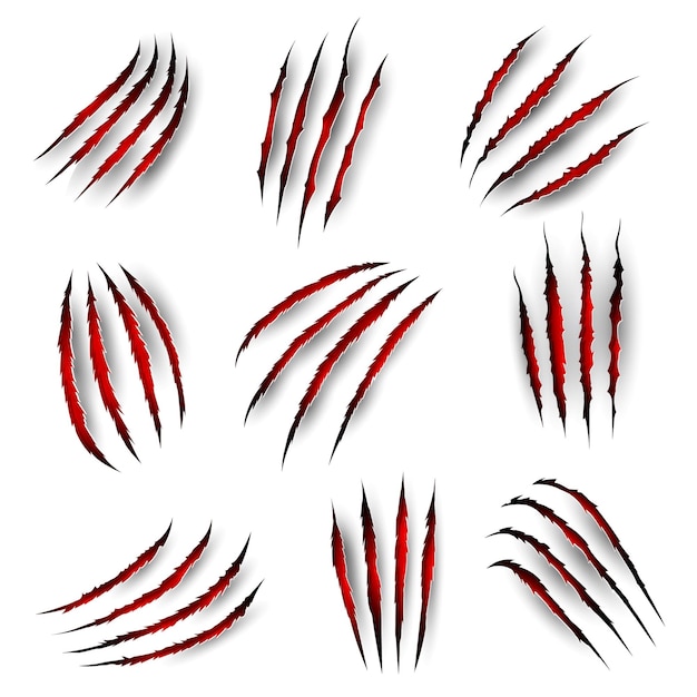 Claw marks with blood scratches of tiger beast or lion and bear vector wild animal paw slashes Panther wild cat or monster werewolf claw slashes with red bloody ripped marks and scratch shreds