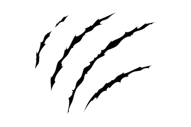Claw scratches of wild animal Cat scratches marks isolated in white background Vector illustration