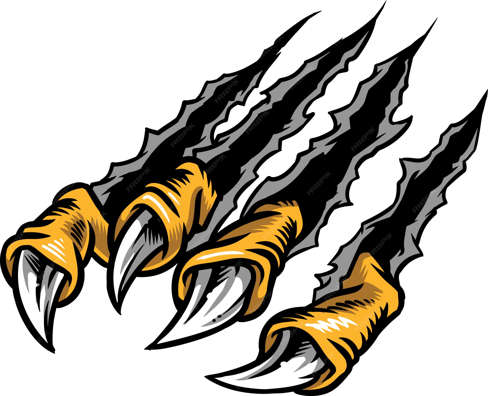 Hawk Claw Clipart