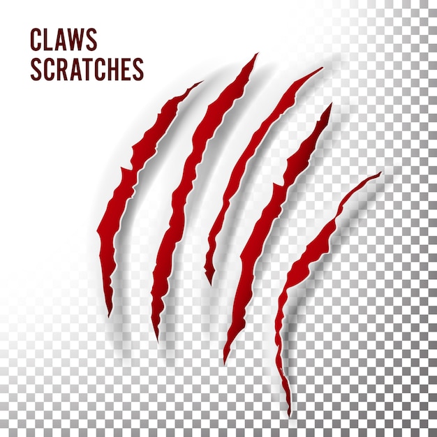 Claws scratches