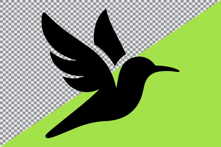 Vector 끔 한 검은 색 의 콜리버드 의 실루
