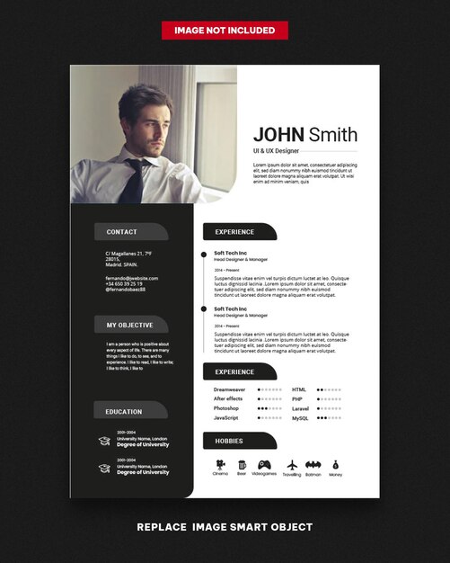 Vector clean and modern resume