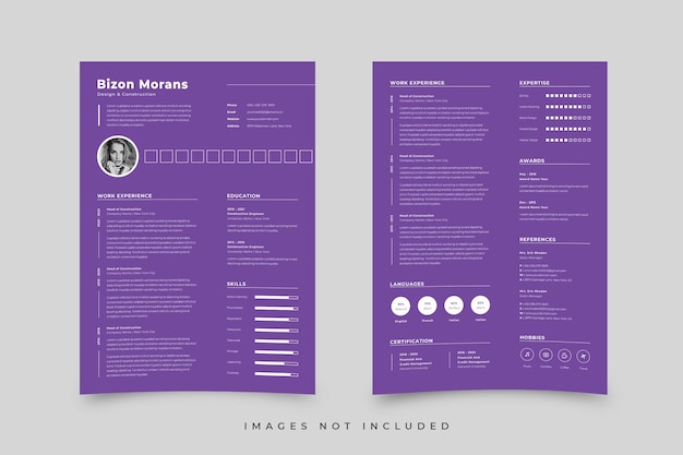 Vector clean resume template