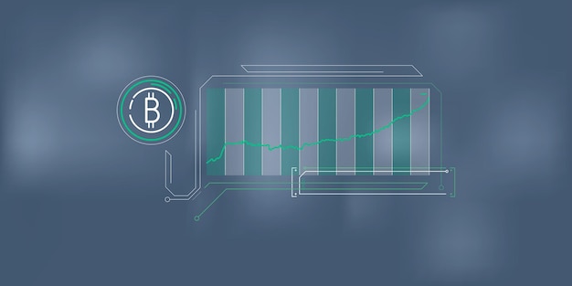 Infografiche chiare e concise sulla crescita dei prezzi dei bitcoin