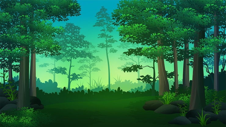 Vector clearing of dark tropical forest illustrations with trees and lush grass , nature background