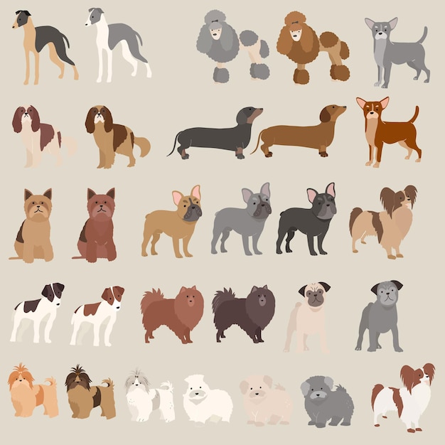 Clip art collectie voor honden