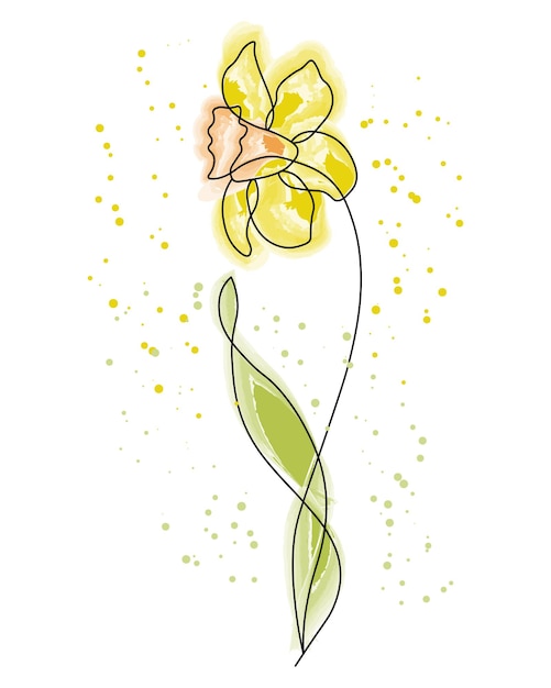Vector clip art hand drawn narcissus flower black outline with watercolor strokes wall art