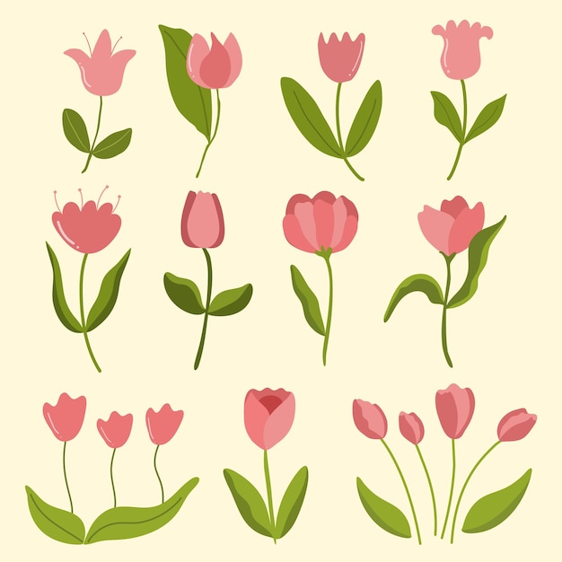 Vettore clip art di fiori di tulipani