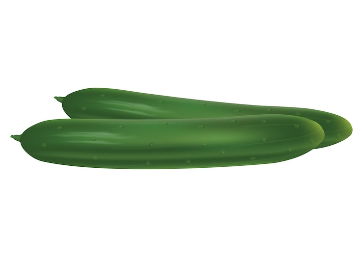 Vector clipart vector cucumber vector illustration of cucumber isolated on white background