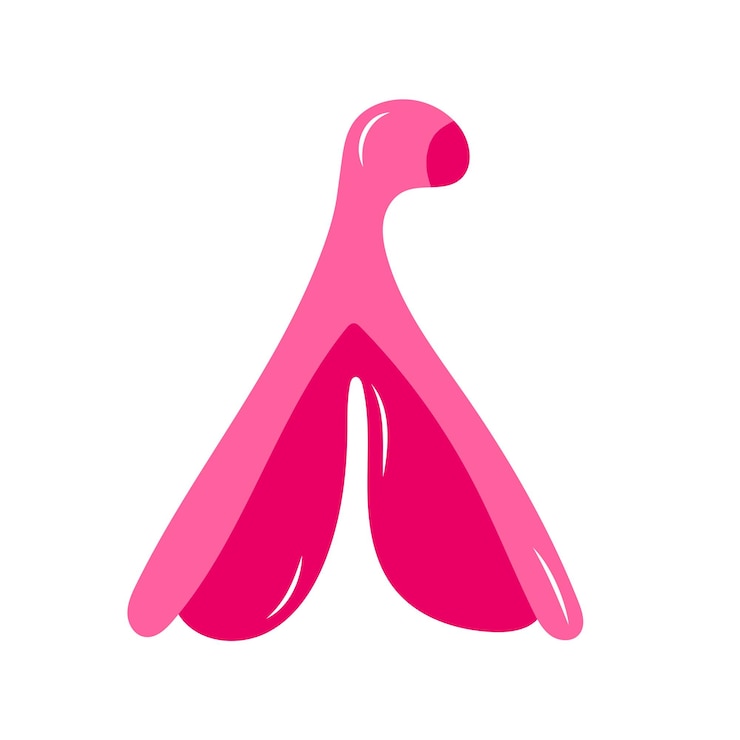 Vector clit vector isolated image flat style female reproductive system