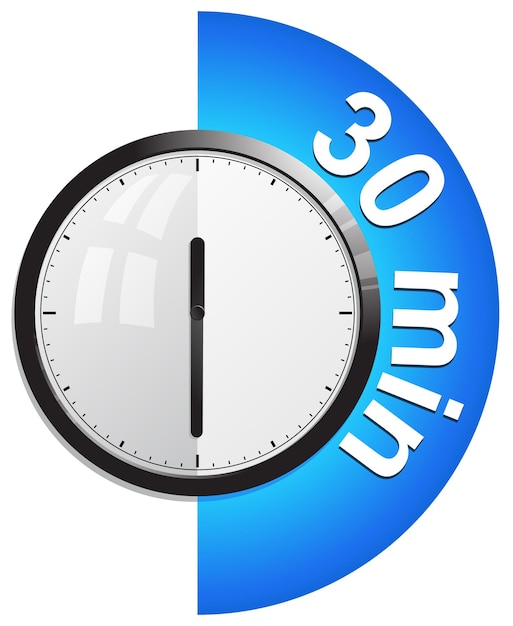 Vector clock timer 30 min