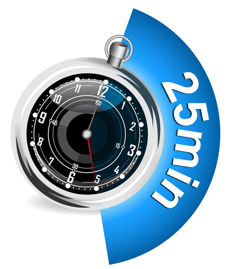 Vector clock timer in a steel case 25 min