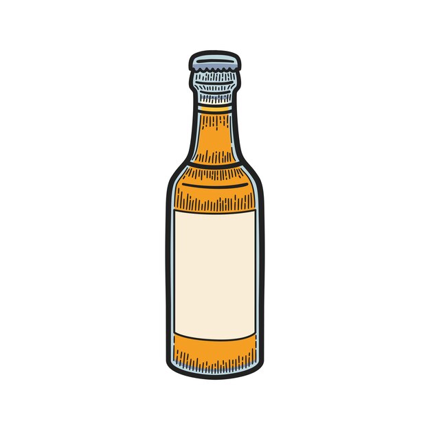 Close beer bottle. Vintage color vector engraving illustration.