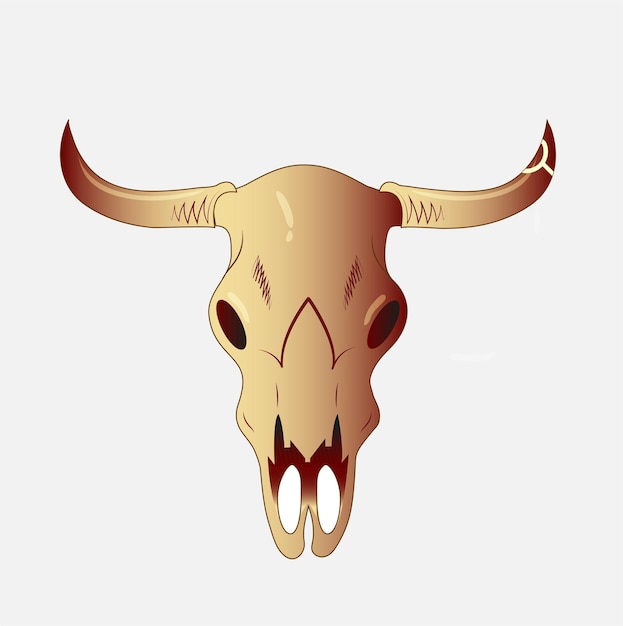 Close up of a Buffalo skull isolated on white background.