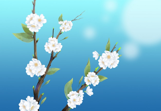 Close-up cherry blossom illustration on blue background.