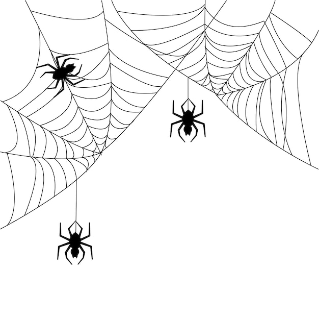 Close-up of cobweb on white background with spiders, halloween vector illustrator