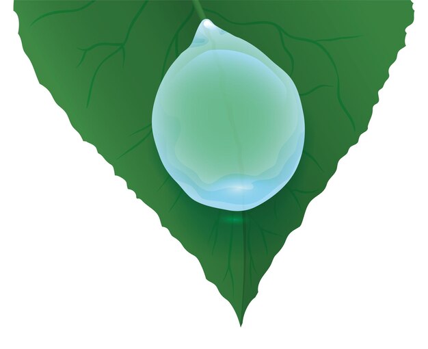 Vector close up of a green leaf and a drop sliding down design in gradient effect on white background