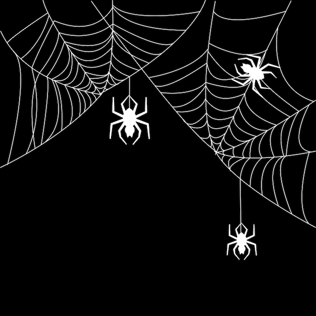 Крупный план паутины на черном фоне, векторный иллюстратор Хэллоуина